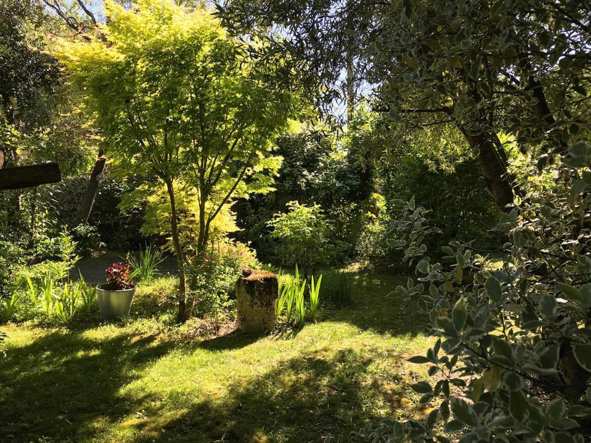 Le Pain De Lune Gite Et Chambre D'Hotes Avec Piscine Bourg-sur-Gironde Εξωτερικό φωτογραφία