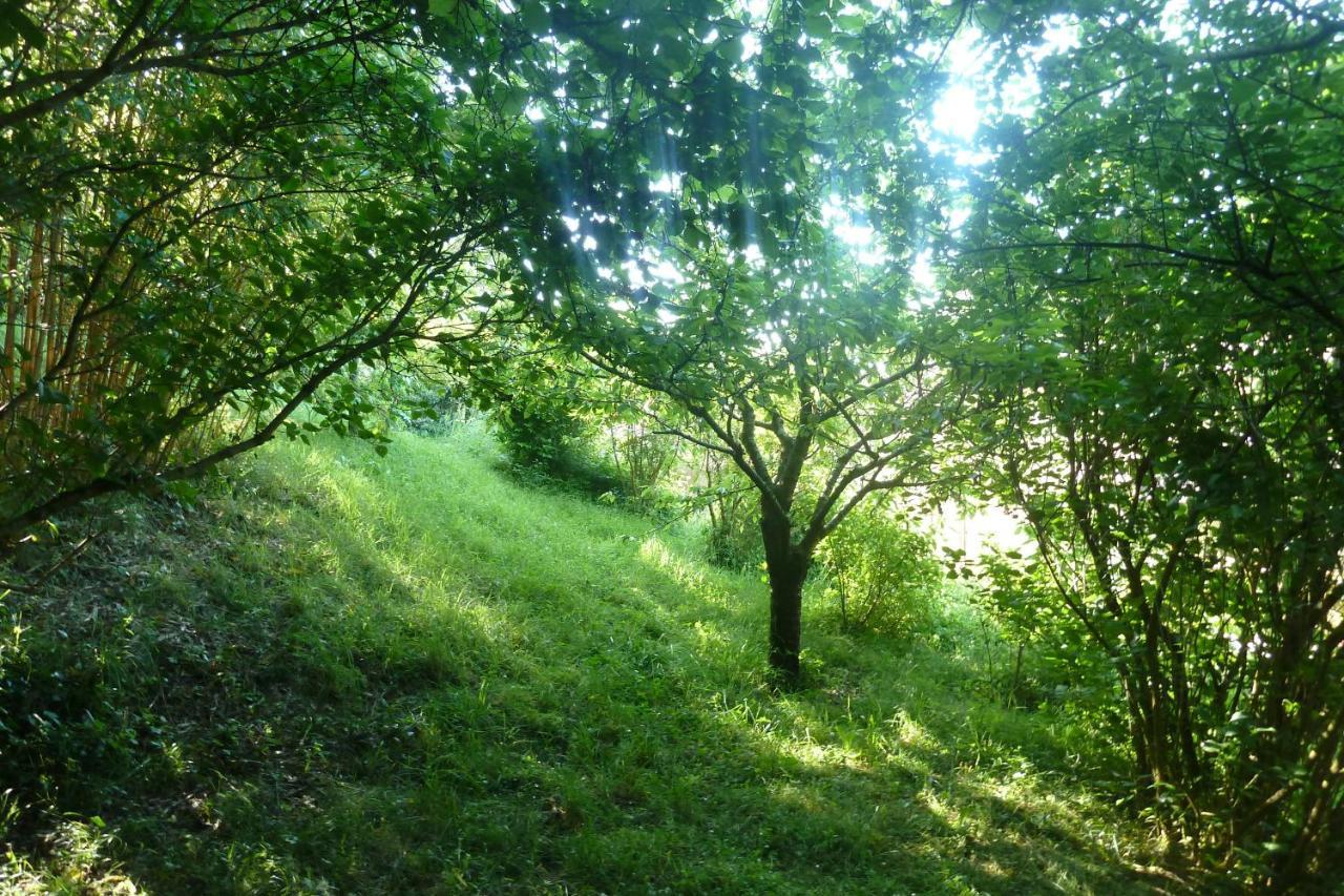 Le Pain De Lune Gite Et Chambre D'Hotes Avec Piscine Bourg-sur-Gironde Εξωτερικό φωτογραφία