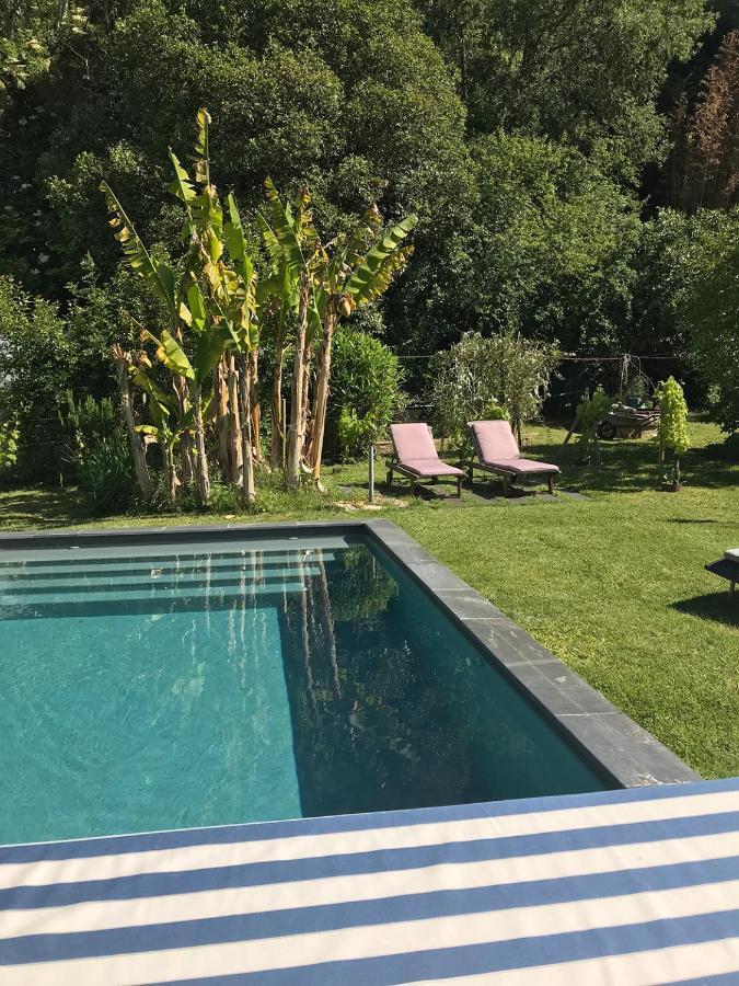 Le Pain De Lune Gite Et Chambre D'Hotes Avec Piscine Bourg-sur-Gironde Εξωτερικό φωτογραφία